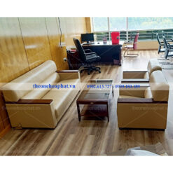 Ghế sofa SF35 màu D21