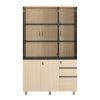 Tủ tài liệu gỗ melamine LE1960-3G4D