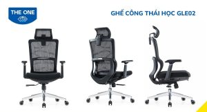 Giới thiệu ghế công thái học GLE02