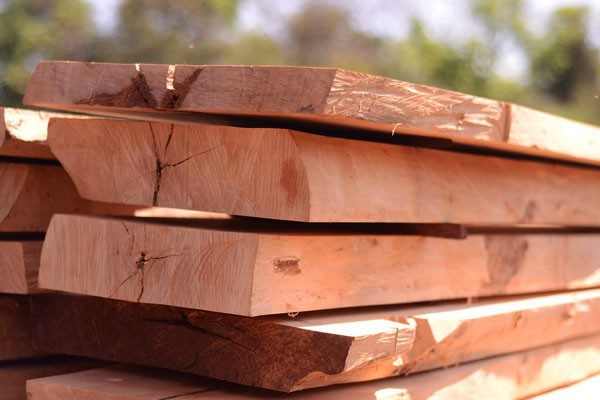 gỗ tự nhiên dùng trong nội thất