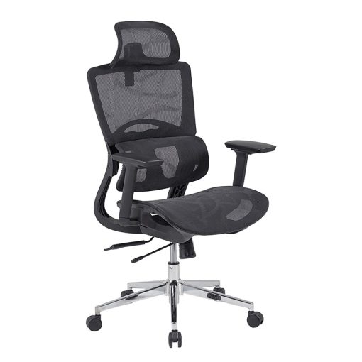 ghế ergonomic GLE10