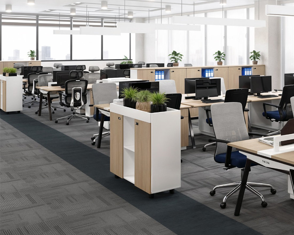 phối cánh tủ thấp trang trí NTV1000-3T2