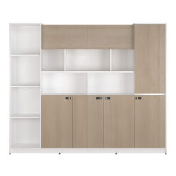 Tủ hồ sơ cao cấp NTV2420T1