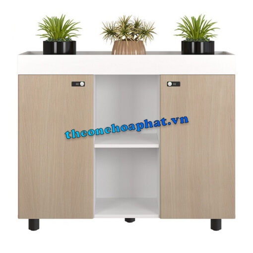 Tủ gỗ thấp trang trí NTV1000-3T2