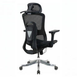 Ergonomic chair GLE20