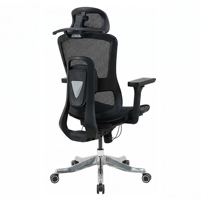 Ergonomic chair GLE20