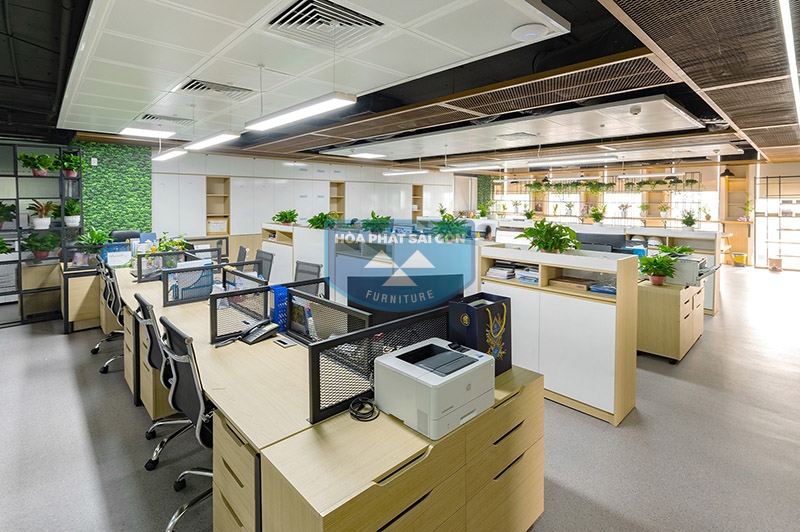 Văn phòng mở với cây xanh